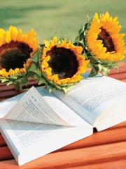 邪少掠情，妈咪快投降