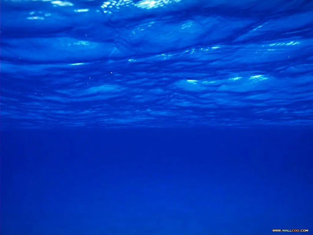 叶轻寒狂武战帝